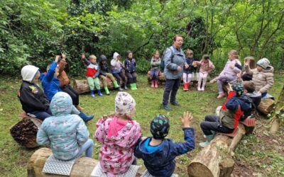 FOREST FEST ZA NAJMLAĐE