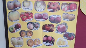 PROJEKT JABUKOM DO ZDRAVLJA