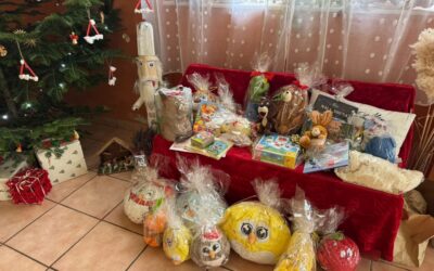 HUMANITARNA AKCIJA ZA SPECIJALNU BOLNICU KRAPINSKE TOPLICE