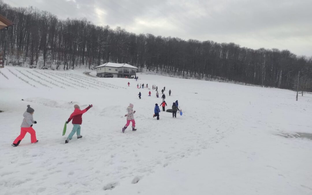 ZIMSKE RADOSTI UČENIKA PODRUČNE ŠKOLE JAZVINE
