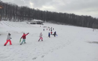 ZIMSKE RADOSTI UČENIKA PODRUČNE ŠKOLE JAZVINE