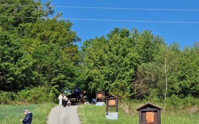 Šestaši sudjeluju na ovogodišnjem City Nature Challenge-u 2026.