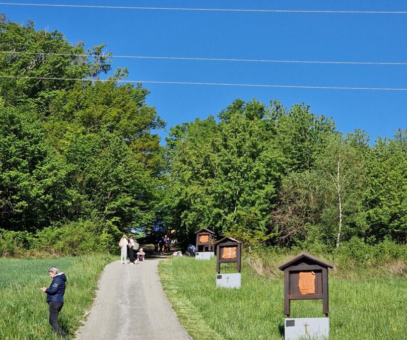 Šestaši sudjeluju na ovogodišnjem City Nature Challenge-u 2026.